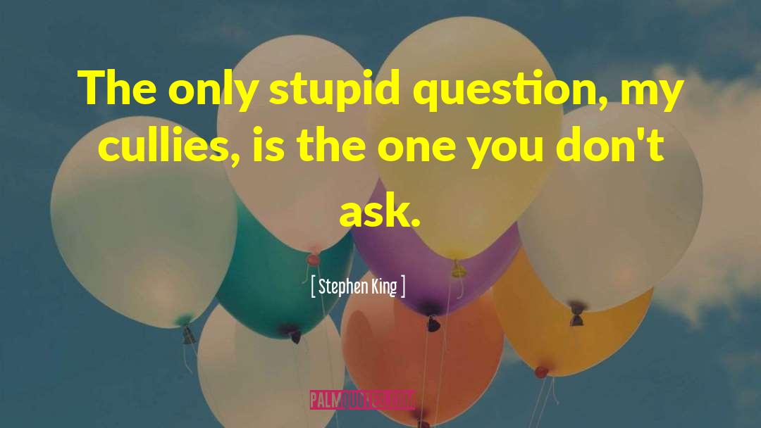 Stupid Remarks quotes by Stephen King