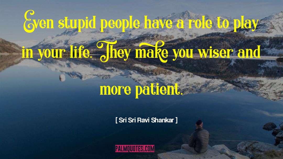 Stupid Remarks quotes by Sri Sri Ravi Shankar
