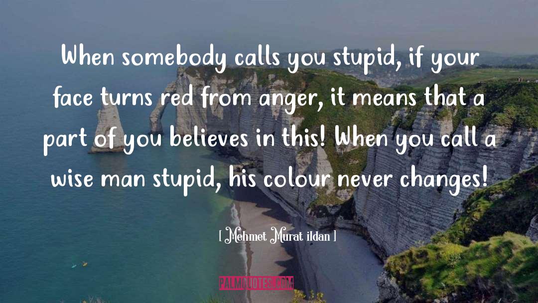 Stupid Republican quotes by Mehmet Murat Ildan