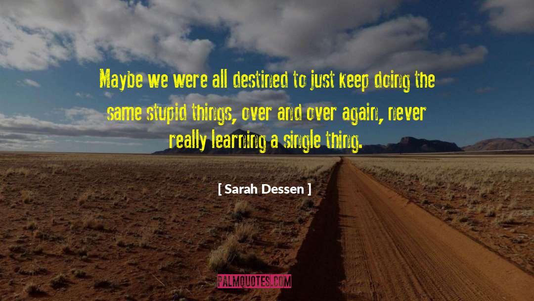 Stupid Things quotes by Sarah Dessen