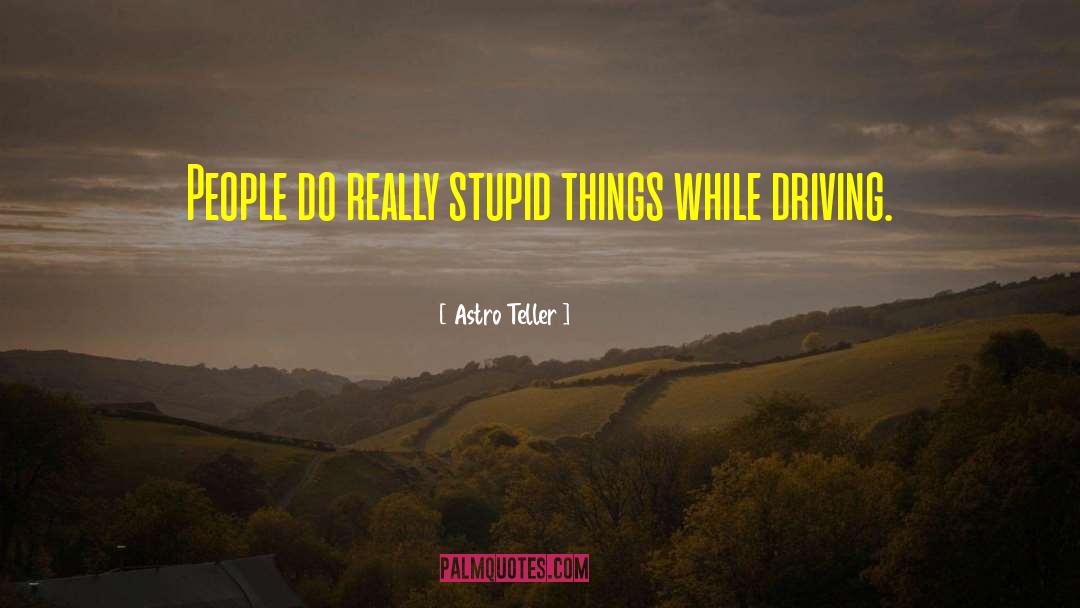 Stupid Things quotes by Astro Teller