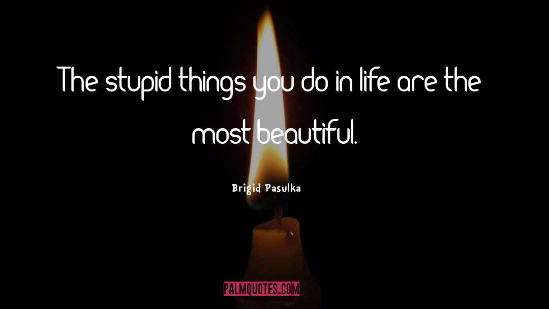 Stupid Things quotes by Brigid Pasulka