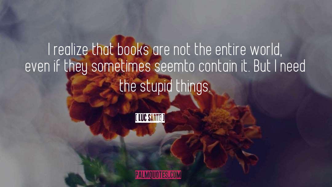 Stupid Things quotes by Luc Sante