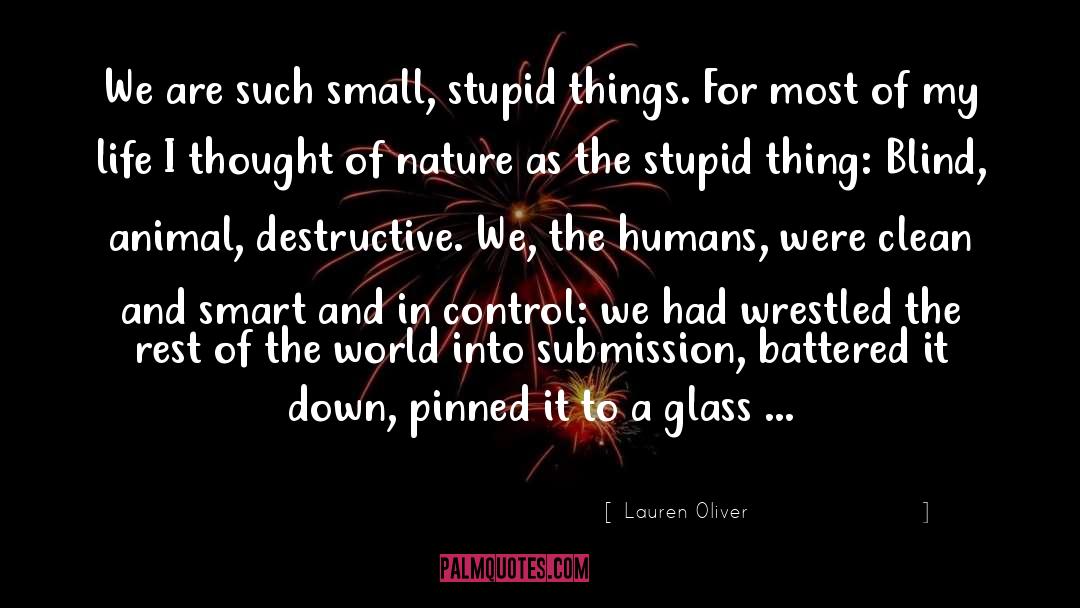 Stupid Things quotes by Lauren Oliver