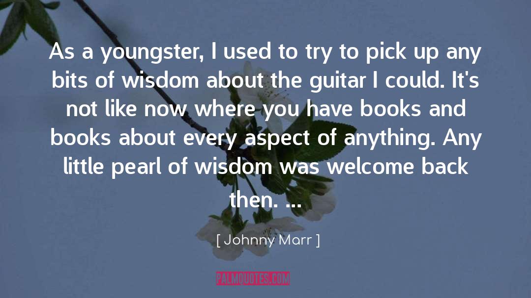 Stupid Wisdom quotes by Johnny Marr