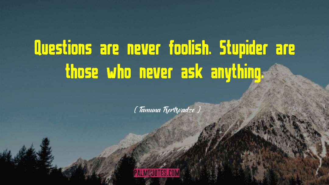 Stupid Wisdom quotes by Tamuna Tsertsvadze