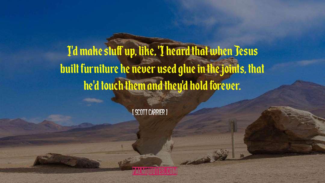 Sturdily Furniture quotes by Scott Carrier