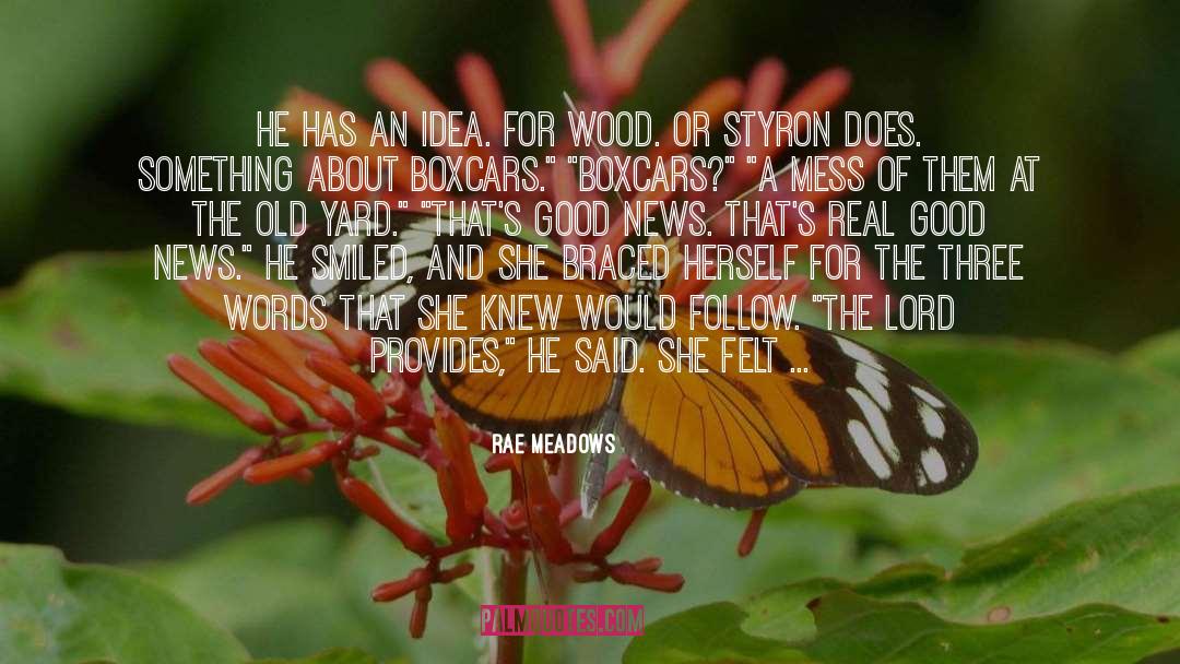 Styron quotes by Rae Meadows