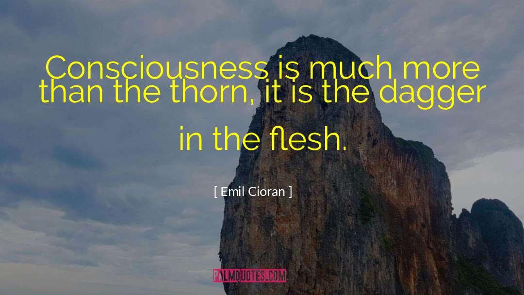 Sub Conscious quotes by Emil Cioran