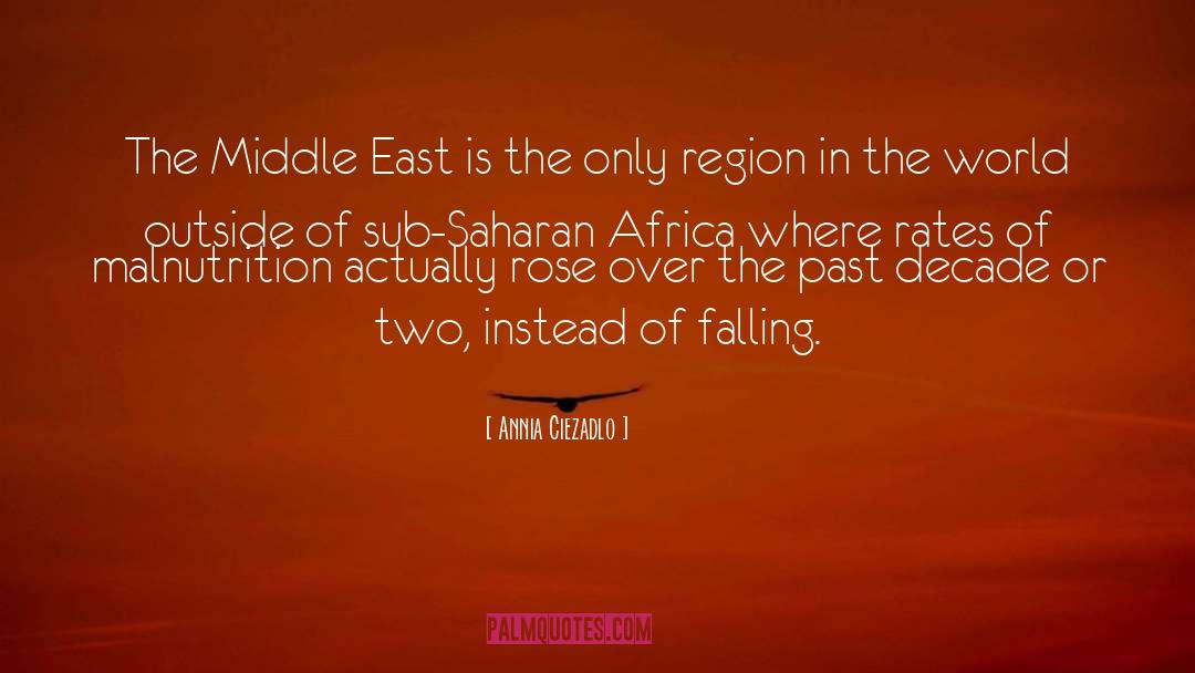 Sub Saharan Africa quotes by Annia Ciezadlo