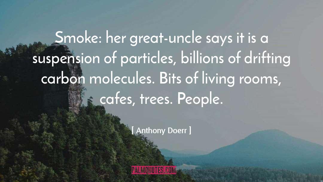 Subatomic Particles quotes by Anthony Doerr
