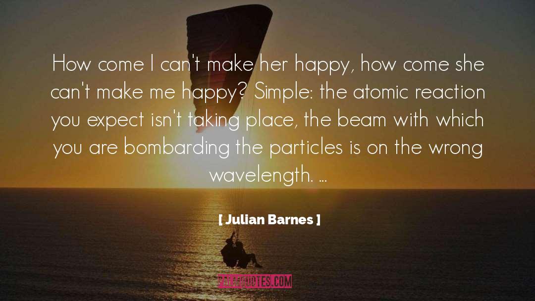 Subatomic Particles quotes by Julian Barnes