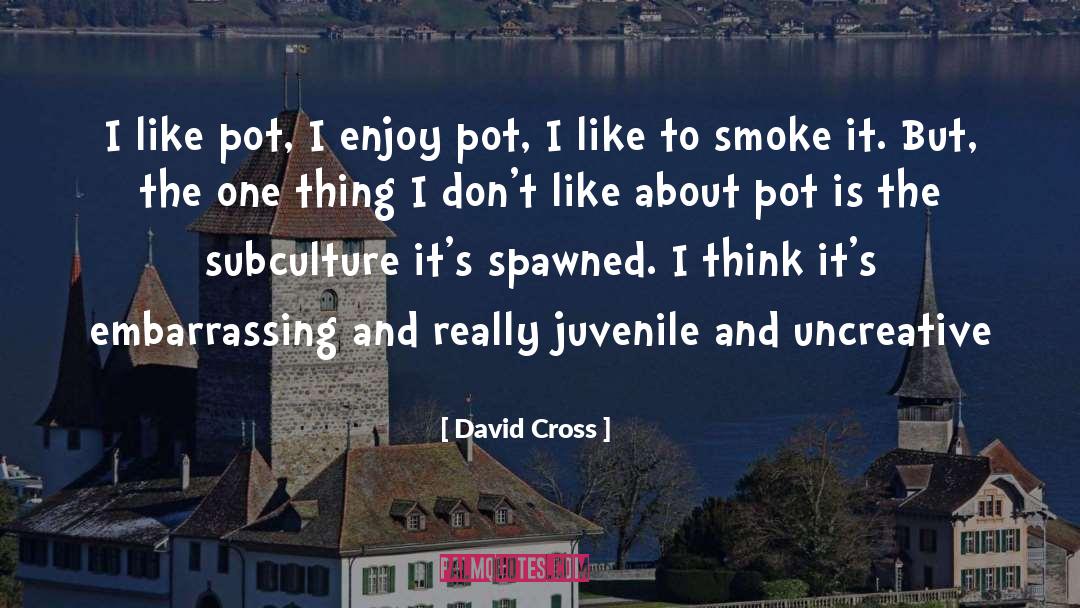 Subculture quotes by David Cross