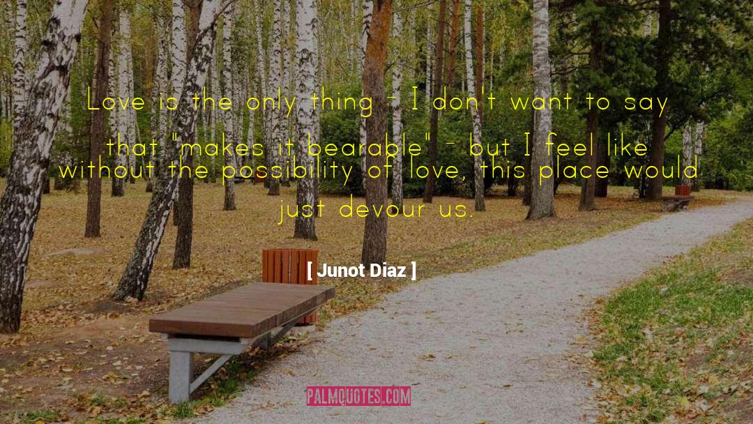 Sublime Love quotes by Junot Diaz