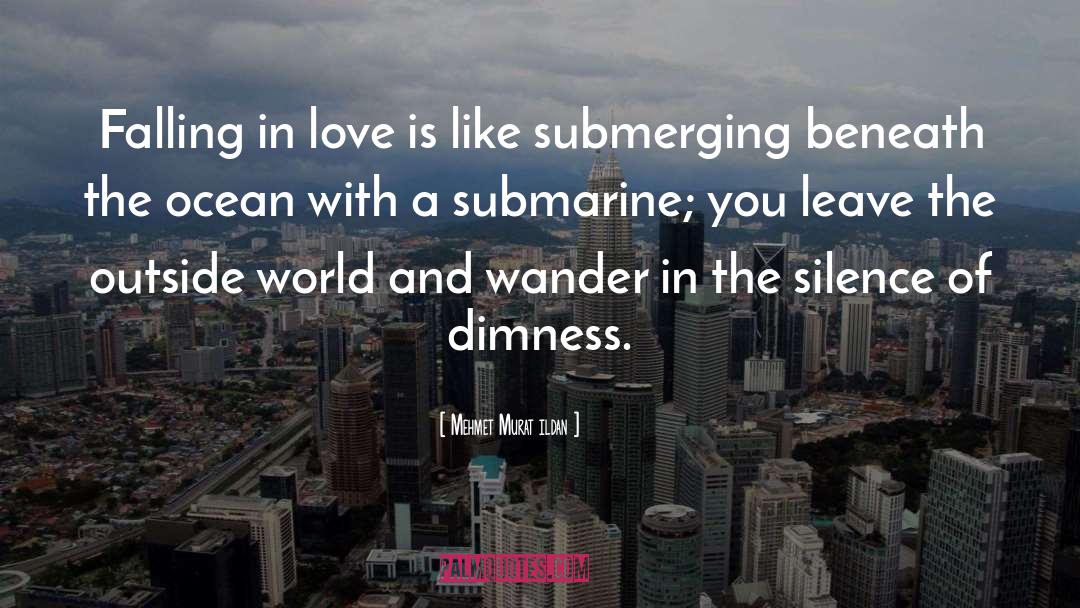 Submarines quotes by Mehmet Murat Ildan