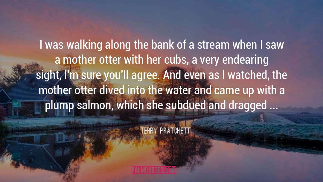 Submerged quotes by Terry Pratchett