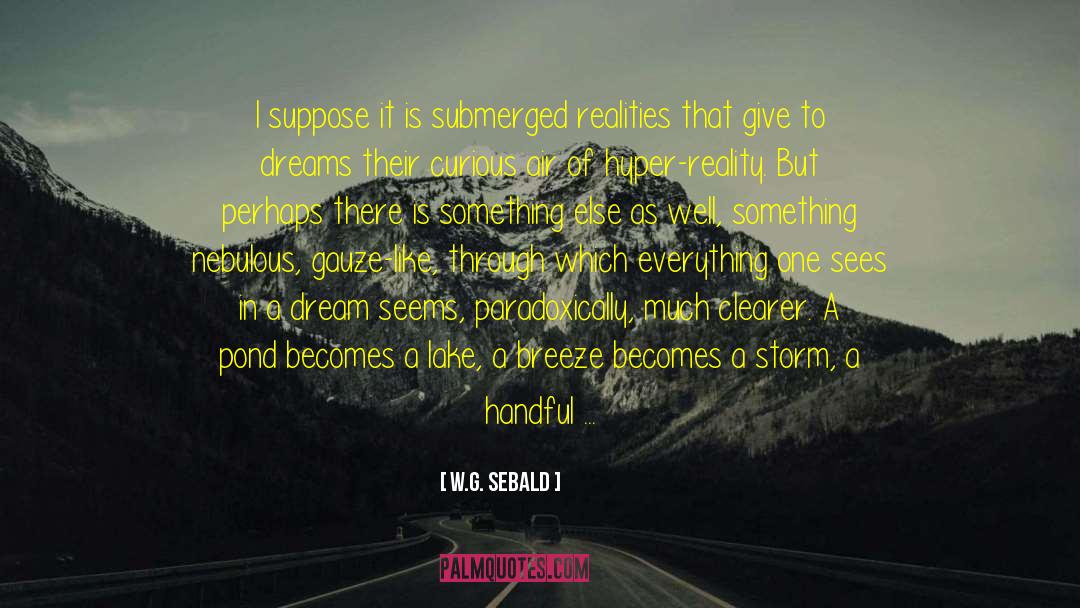 Submerged quotes by W.G. Sebald