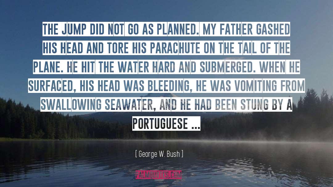 Submerged quotes by George W. Bush