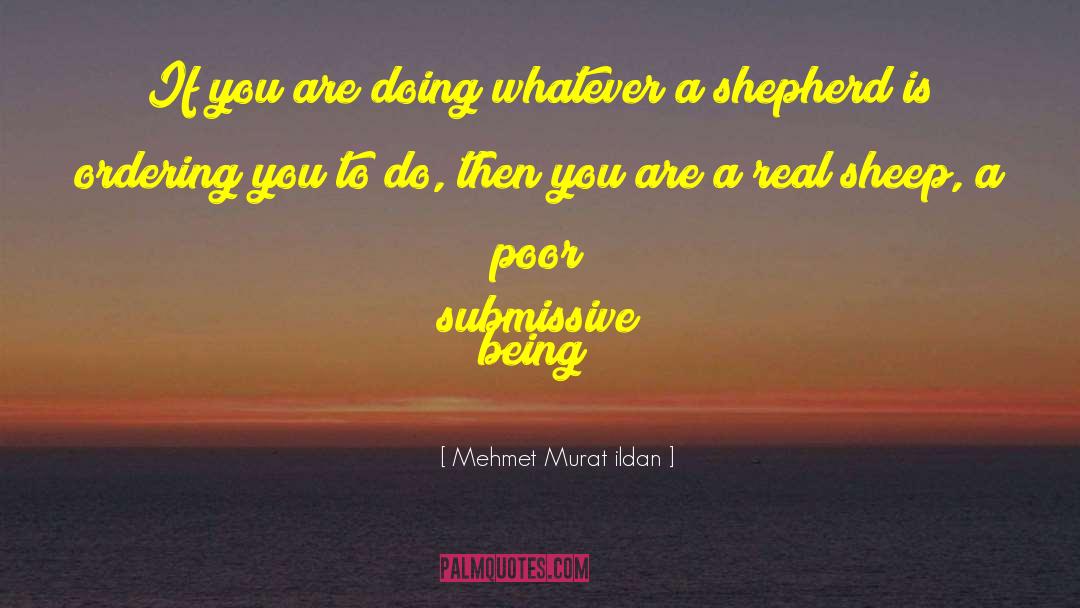 Submissiveness quotes by Mehmet Murat Ildan