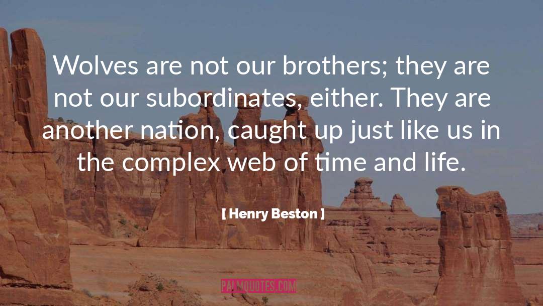 Subordinates quotes by Henry Beston
