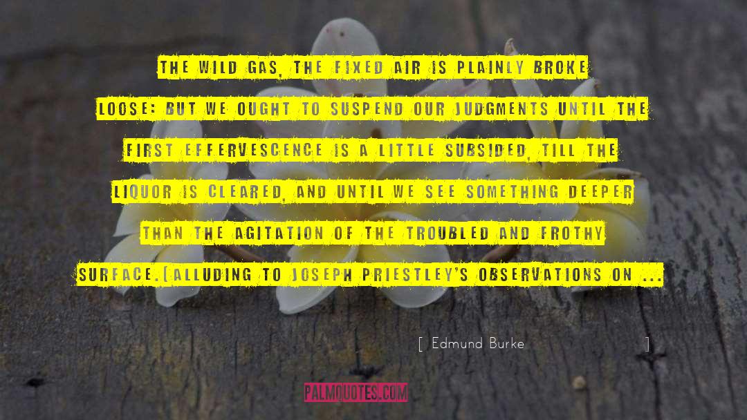 Subsided quotes by Edmund Burke