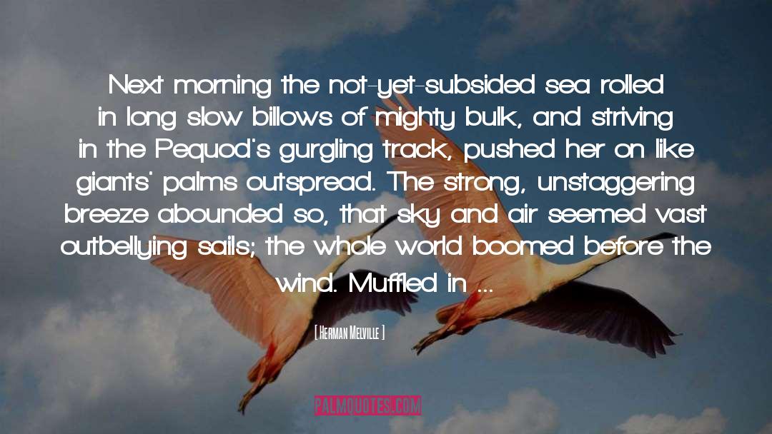 Subsided quotes by Herman Melville