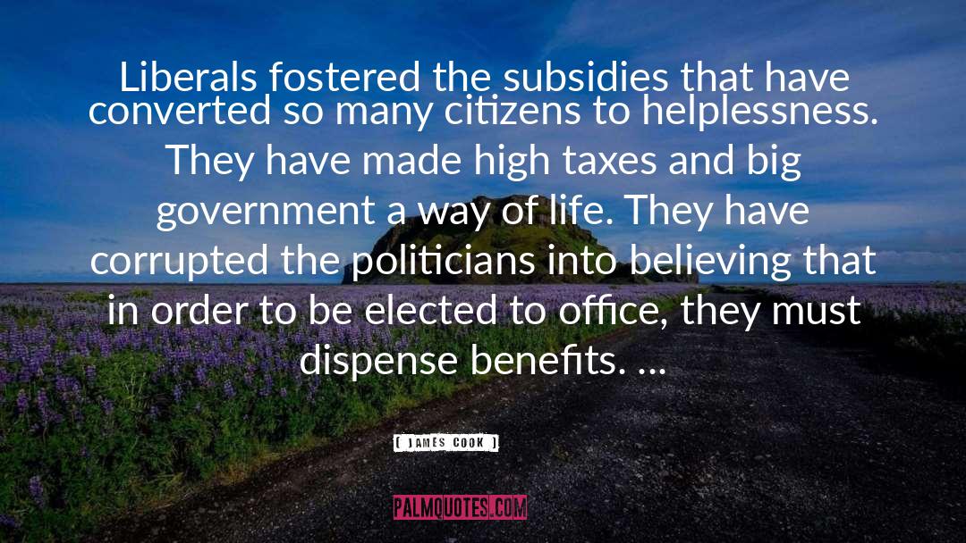 Subsidies quotes by James Cook