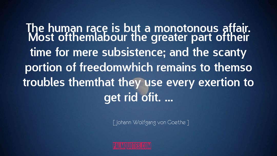 Subsistence quotes by Johann Wolfgang Von Goethe