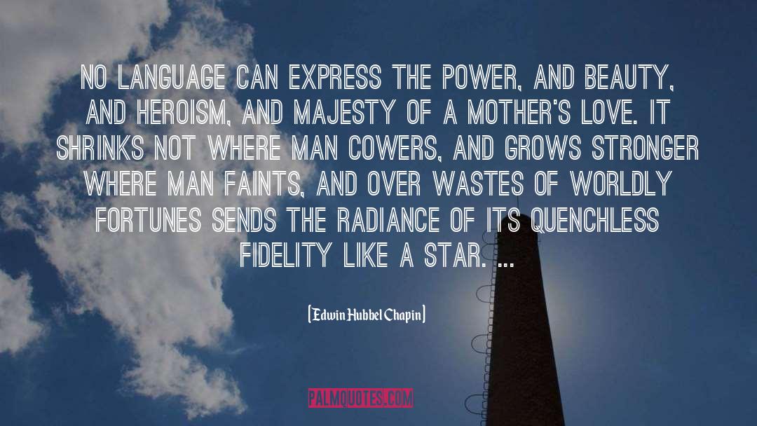 Substance Over Beauty quotes by Edwin Hubbel Chapin
