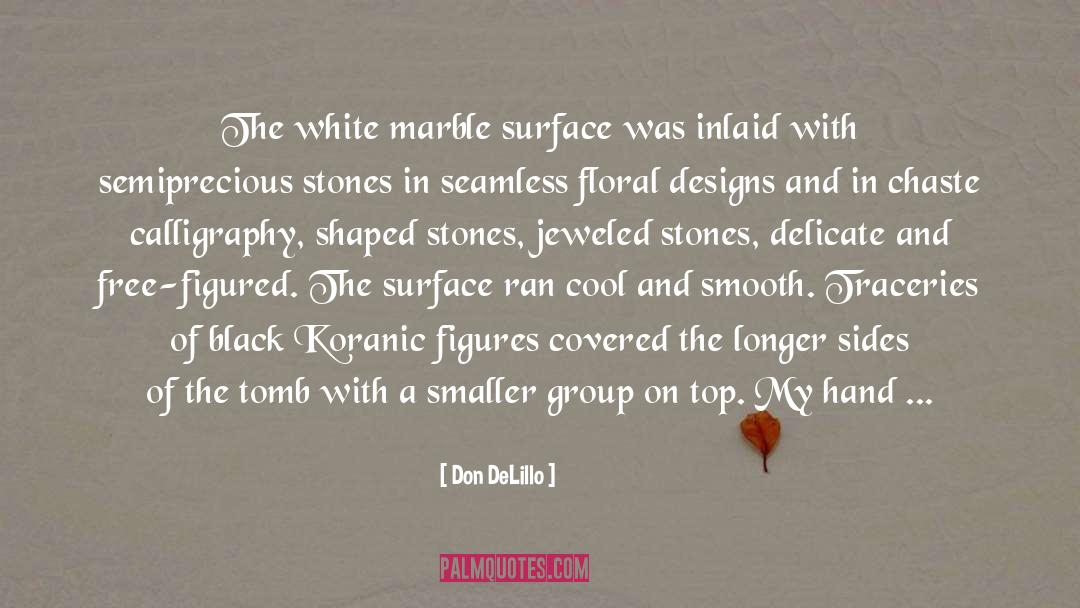Substance Over Beauty quotes by Don DeLillo