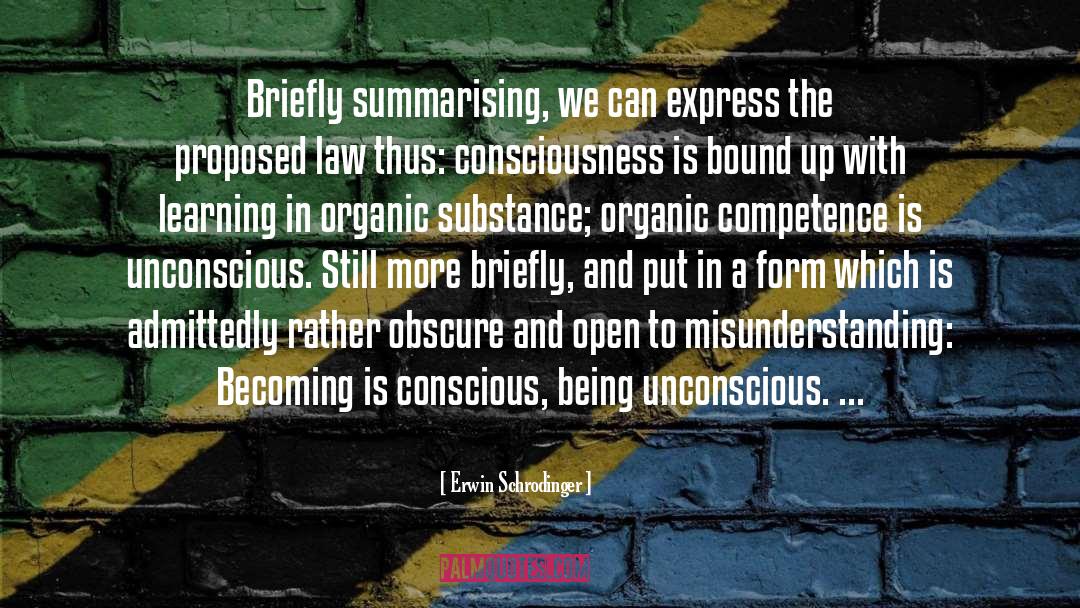 Substance quotes by Erwin Schrodinger