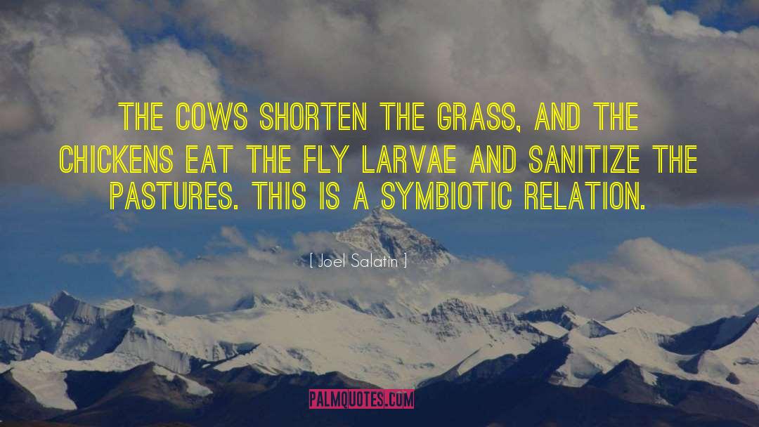Substance Vs Relation quotes by Joel Salatin