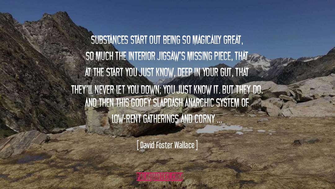 Substances quotes by David Foster Wallace