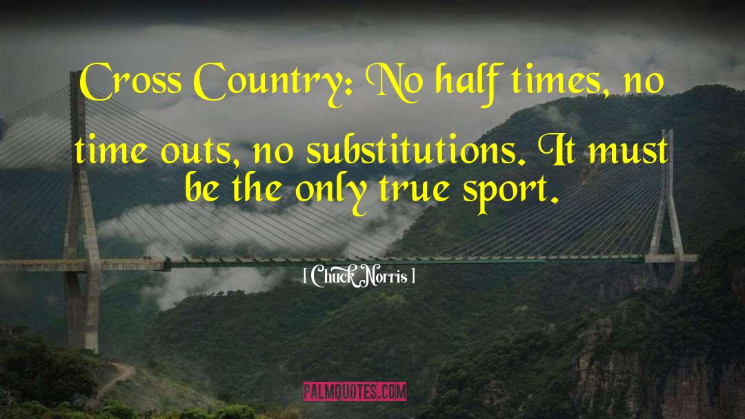 Substitutions quotes by Chuck Norris