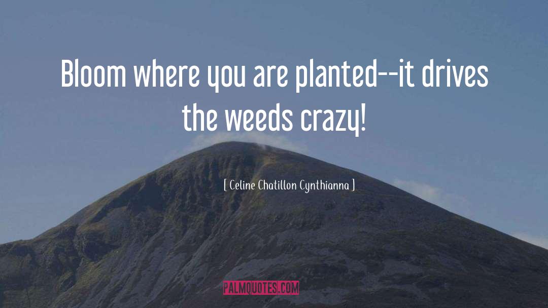 Substrate For Planted quotes by Celine Chatillon Cynthianna