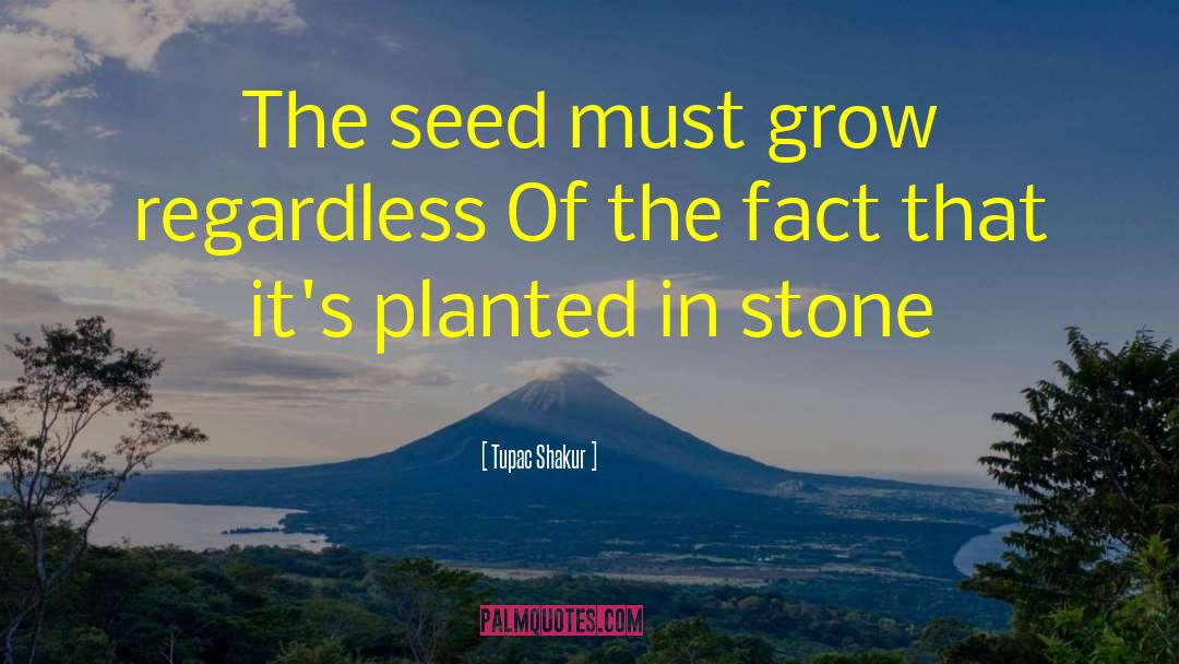 Substrate For Planted quotes by Tupac Shakur