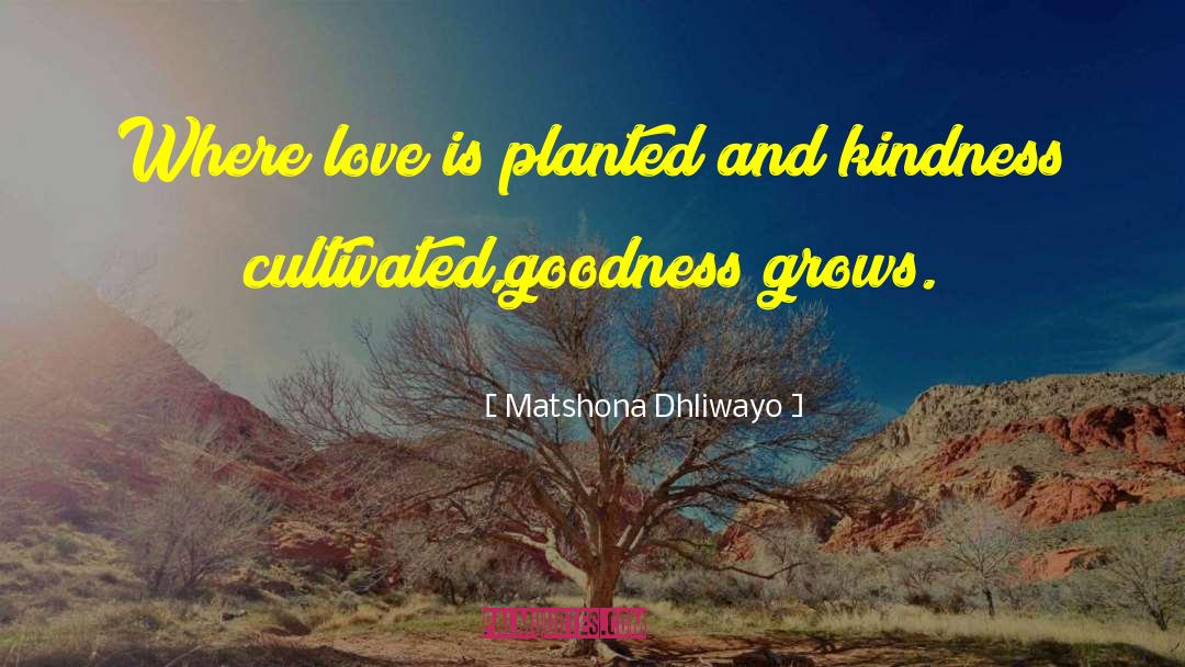 Substrate For Planted quotes by Matshona Dhliwayo