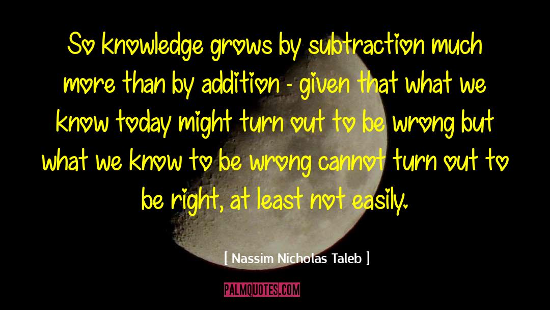 Subtraction quotes by Nassim Nicholas Taleb