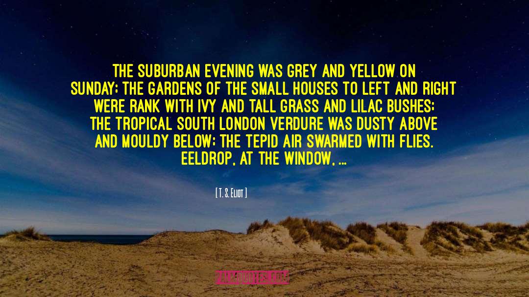 Suburban quotes by T. S. Eliot