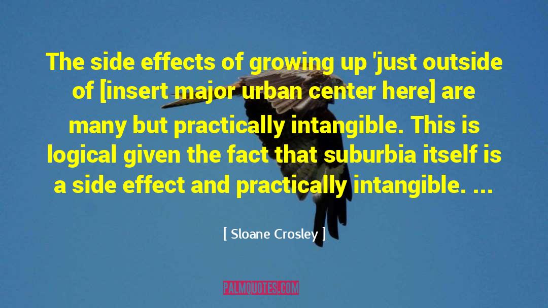 Suburbia quotes by Sloane Crosley