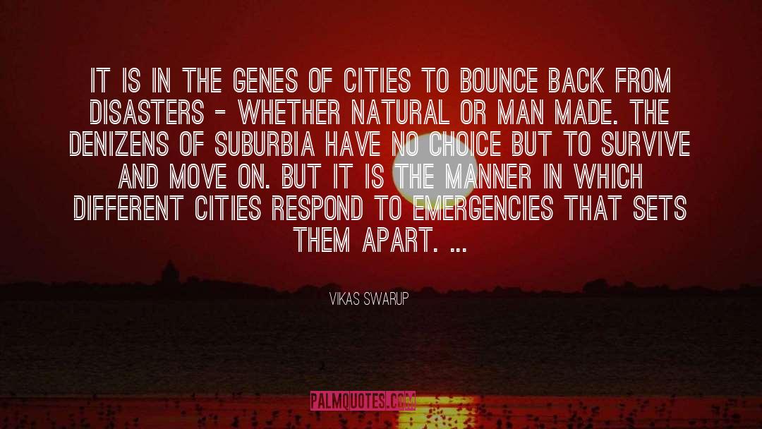 Suburbia quotes by Vikas Swarup