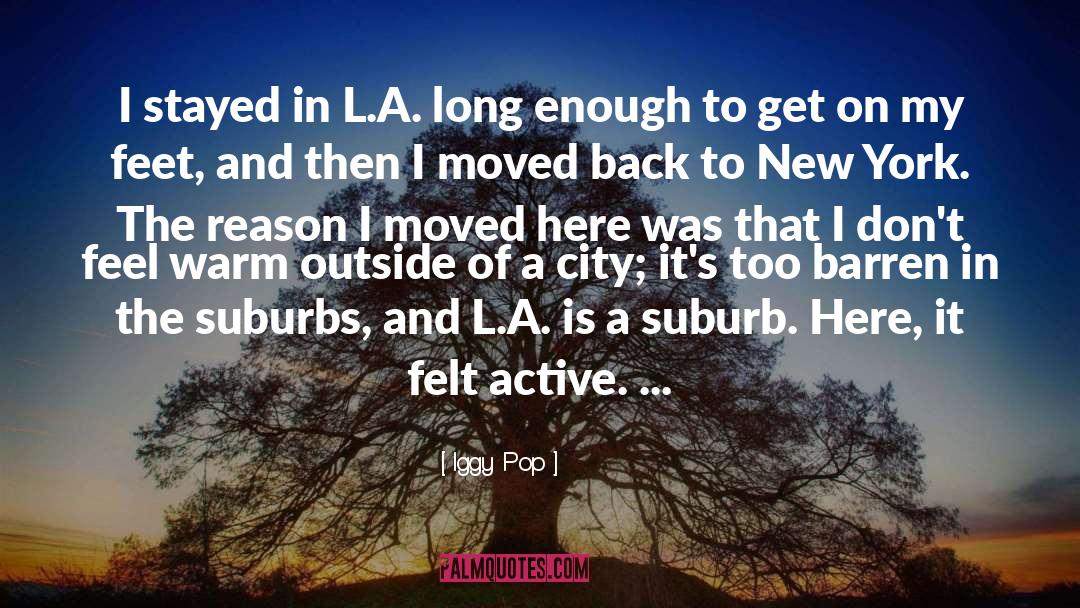 Suburbs quotes by Iggy Pop