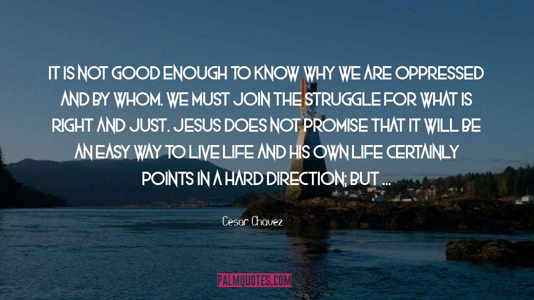 Succeeding In Life quotes by Cesar Chavez