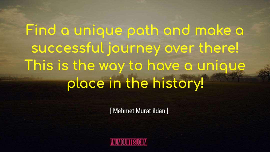 Succesful quotes by Mehmet Murat Ildan