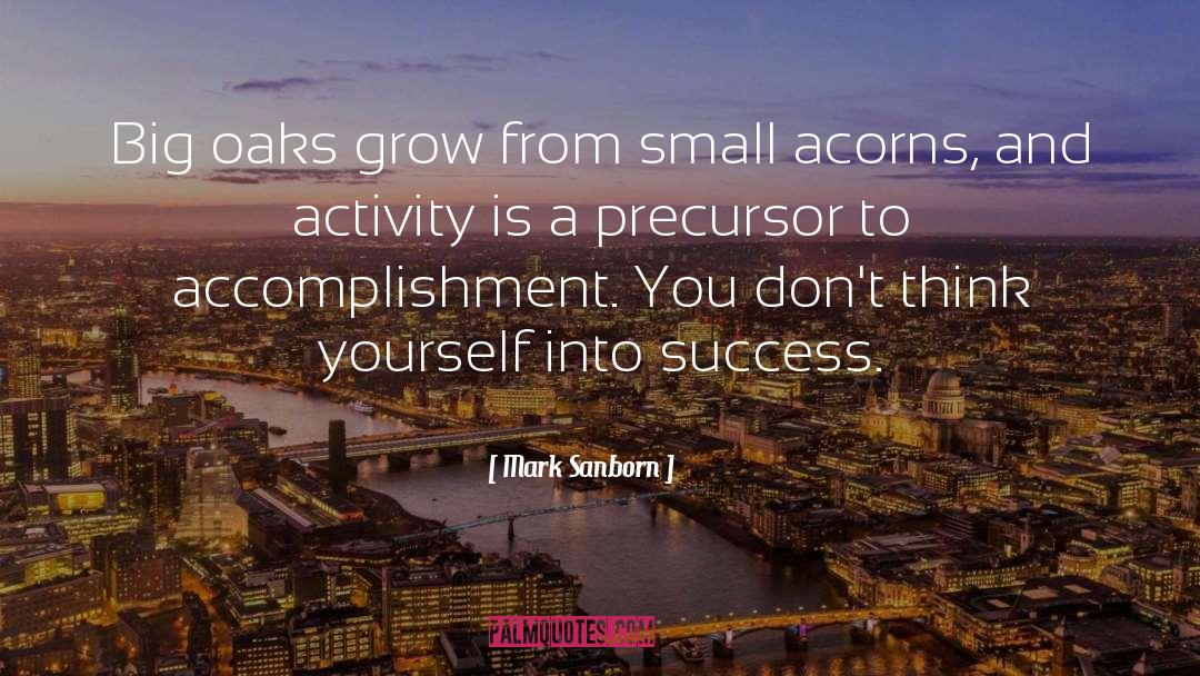 Success Action quotes by Mark Sanborn