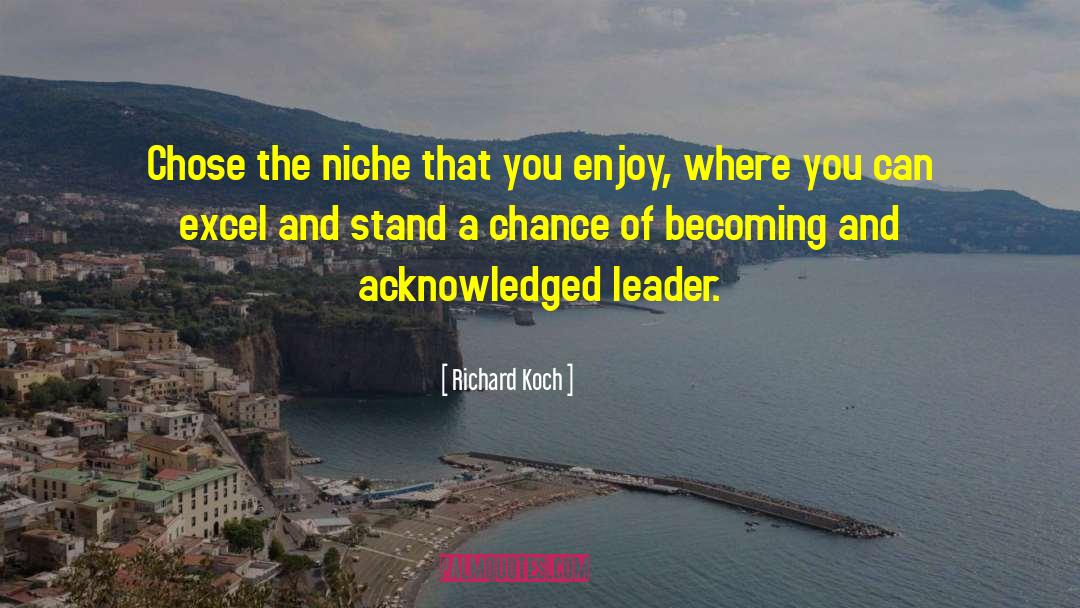 Success And Significance quotes by Richard Koch