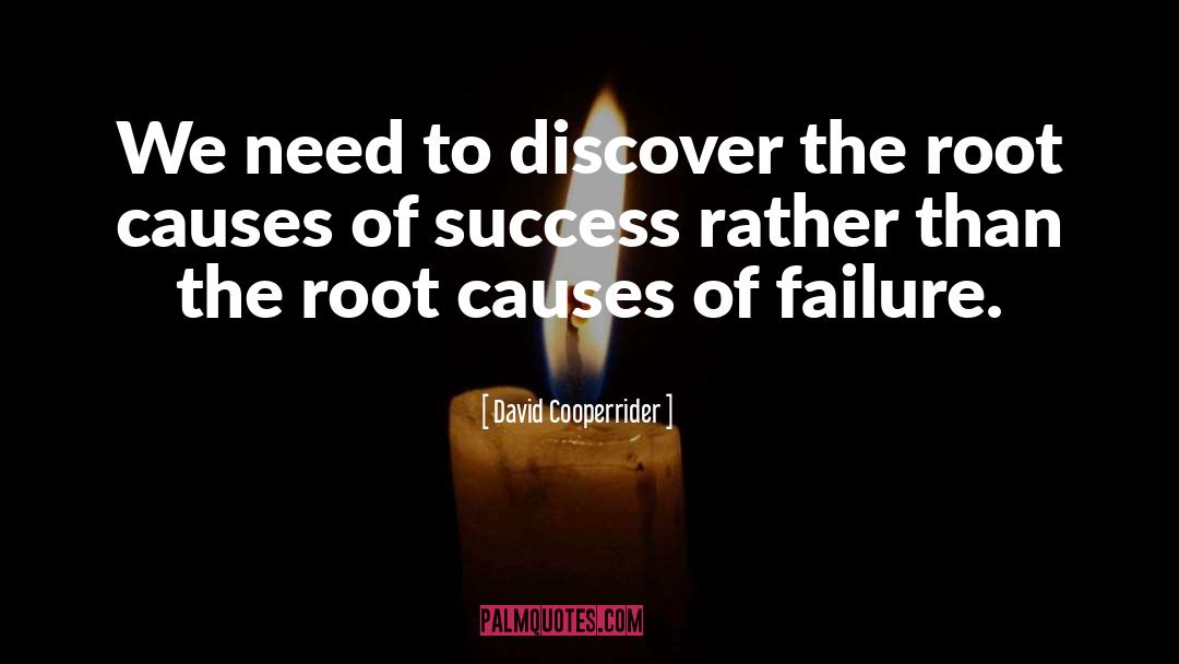 Success Failure quotes by David Cooperrider