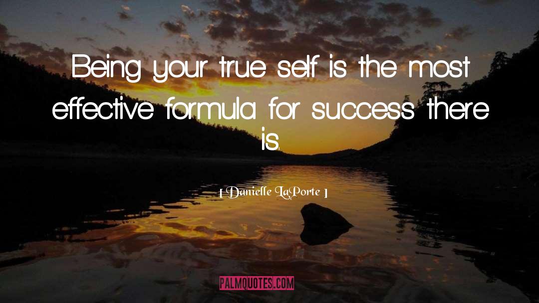 Success Improvemnet quotes by Danielle LaPorte