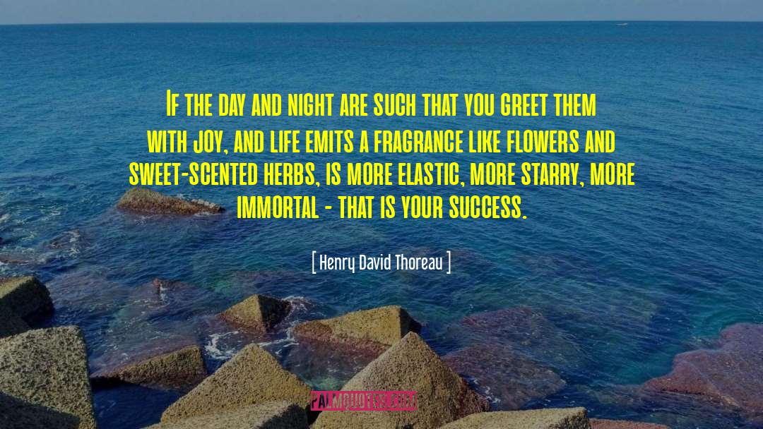 Success Improvemnet quotes by Henry David Thoreau