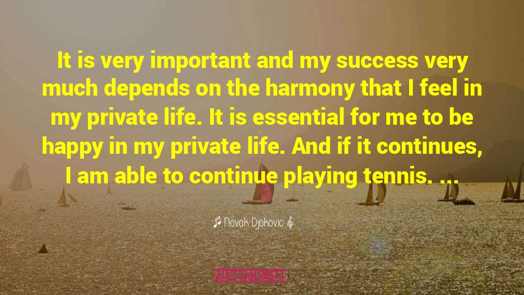 Success In Business quotes by Novak Djokovic